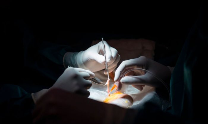 Les médecins se préparent pour une greffe de rein sur une photo illustrative. (Pierre-Philippe Marcou/AFP/Getty Images)