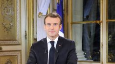 Des militants du climat décrochent le portrait de Macron dans plusieurs mairies en France