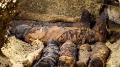 L’Égypte dévoile des momies de plus de 2000 ans et c’est impressionnant