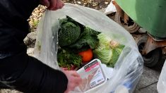 Gaspillage alimentaire : action judiciaire contre un supermarché des Landes