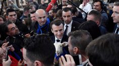 Aux agriculteurs, Macron promet de « ne rien lâcher », en France et sur le front européen
