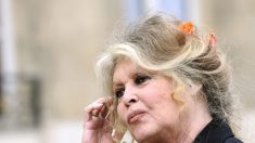 « Ne lâchez rien » : visite surprise de Brigitte Bardot aux « Gilets jaunes » de Fréjus