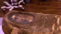 Des chercheurs ont passé une momie égyptienne dans un accélérateur de particules – voici ce qu’ils ont trouvé