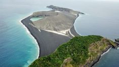 La vie est maintenant apparue sur l’île mystérieuse qui a émergé de l’océan Pacifique en 2014