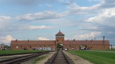 Un appel à la décence pour les selfies et photos pris au mémorial d’Auschwitz