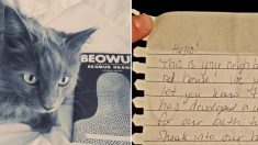 Ce chat disparaît de sa maison tous les jours, mais un jour il revient avec une note hilarante sur son collier
