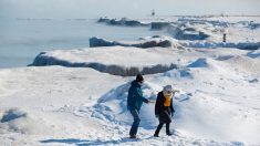 Photos : le lac Michigan est couvert de superbes éclats de glace