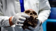 Irlande: le crâne d’un croisé momifié retrouvé par la police