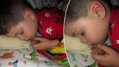 Une maman trouve son fils de 4 ans dormant profondément avec son poisson rouge à la main, il «voulait juste le caresser»