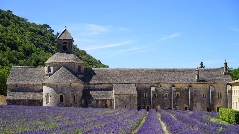 Le cru 2019 comportera notamment l'abbaye de Notre Dame de Sénanque. (Pixabay)