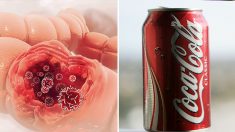 Les boissons sucrées sont mauvaises pour l’intestin et stimulent la croissance des tumeurs cancéreuses