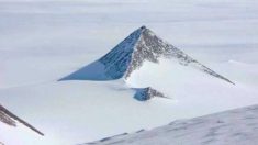 Une découverte en Antarctique change tout ce que nous pensions savoir sur les extraterrestres