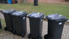 Lyon : les poubelles bientôt facturées en fonction de leur poids ?