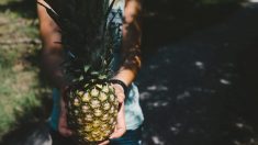 Une vidéo montrant comment «éplucher et manger» un ananas devient virale et suscite un débat sur son efficacité