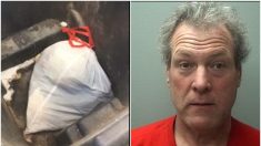 Cet homme a été arrêté dans le Wisconsin après que la police a trouvé un sac rempli de chiots à la poubelle