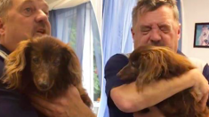 5 ans après sa disparition, un chien perdu retrouve ses propriétaires: «C’est le meilleur des chiens»