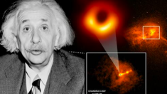 Image historique d’un trou noir dont on dit qu’il prouve la théorie de la relativité d’Einstein
