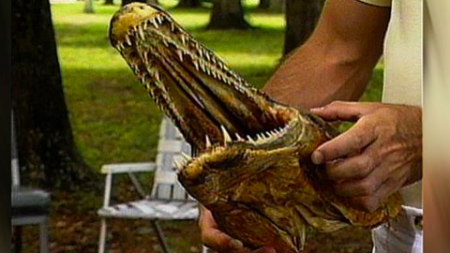 Un homme remonte un poisson «préhistorique» de 1,8 m en pêchant à l’arc dans un lac aux États-Unis
