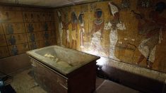 Une momie égyptienne de 2 500 ans découverte en direct à la télévision