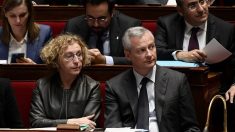 INÉDIT – Des parlementaires de l’opposition enclenchent un « référendum d’initiative partagée » contre la privatisation d’Aéroports de Paris