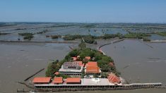 En Thaïlande, replanter la mangrove pour lutter contre l’érosion côtière… et sauver un temple