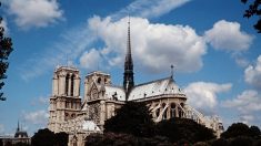 Florès de pétitions « pour la restauration de Notre-Dame à l’identique »