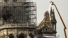 Le Chili offre du cuivre et du bois pour la reconstruction de Notre-Dame