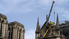 Au nom de «l’amitié centenaire avec le peuple français» la Serbie donne un million d’euros pour la restauration de Notre-Dame