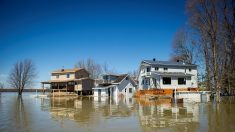 Inondations au Canada: la ville d’Ottawa décrète l’état d’urgence