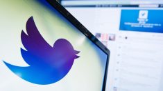 Twitter met en application la loi « anti-fake news » pour bloquer une campagne du gouvernement