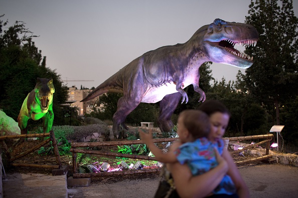 -Une femme et son enfant marchent devant une réplique d'un tyrannosaure lors d'une visite à l'exposition sur les dinosaures dans les jardins botaniques de Jérusalem le 27 juillet 2015, dans le cadre des activités culturelles estivales prévues dans la ville. Photo MENAHEM KAHANA / AFP / Getty Images.