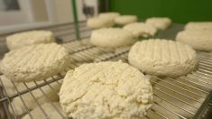Rappel de fromages Saint-Félicien et Saint Marcellin après la contamination de 13 enfants à la bactérie Escherichia Coli