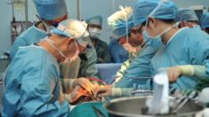 Appels téléphoniques révélateurs : des médecins reconnaissent les prélèvements forcés d’organes en Chine