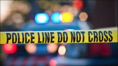 États-Unis – Un garçon de 4 ans tue sa sœur âgée de 6 ans avec une arme – tirant accidentellement une balle sur elle