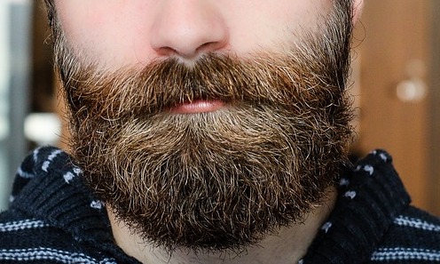 Selon une étude, les bactéries présentes dans les poils de la barbe seraient plus nombreuses que celles prélevées dans le pelage de votre chien. (Photo d'illustration : Pixabay)