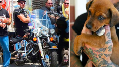 Des motards tatoués viennent au secours des animaux de compagnie maltraités en faisant face à leurs propriétaires violents