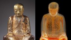 Des scientifiques scannent une statue de Bouddha vieille de 1000 ans et découvrent quelque chose d’incroyable à l’intérieur