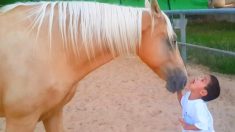 Un cheval s’approche lentement d’un garçon atteint d’un trouble mental rare, leur interaction laisse sa mère sans voix