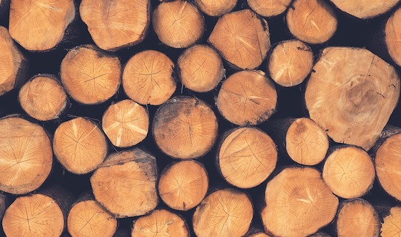 Sonnette d'alarme chez de nombreux professionnels du secteur  du bois depuis que des entreprises chinoises investissent dans la forêt limousine en Nouvelle-Aquitaine. (Photo d'illustration : Pixabay)