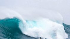 Surf: Justine Dupont, une vague idée de l’océan
