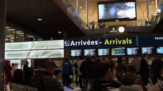Privatisation d’Aéroports de Paris : feu vert du Conseil constitutionnel au projet de référendum d’initiative partagée