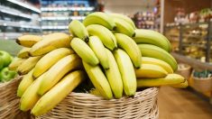 Une vedette végétalienne enceinte qui mangeait 20 bananes par jour rejette les critiques la décrivant comme «narcissique», «irresponsable»
