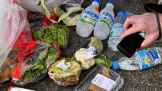 Chaque jour, environ 13.000 repas gaspillés dans les cantines du quartier de La Défense