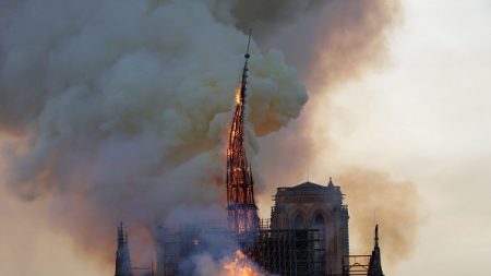 Notre-Dame: Lyon retire son versement de 200.000 euros d’aide