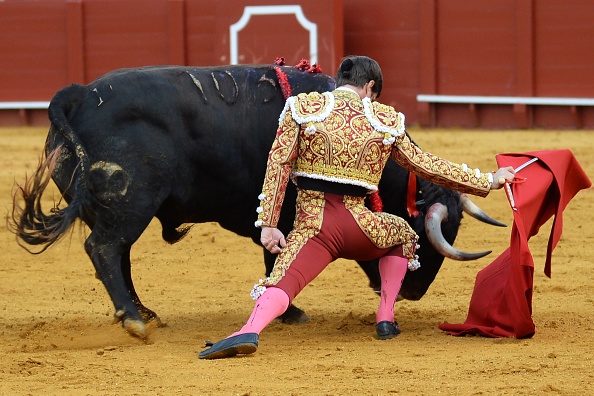  Le torero espagnol Julian "El Juli" Lopez lors d'une corrida dans l'arène de la Real Maestranza à Séville le 21 avril 2019. (Photo : CRISTINA QUICLER / AFP / Getty Images.