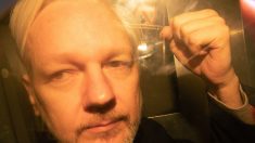 WikiLeaks : Julian Assange présente des symptômes de « torture psychologique »