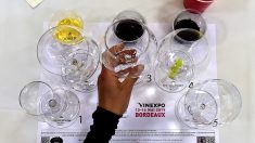 Clap de fin pour Vinexpo Bordeaux qui cherche à se « réinventer »