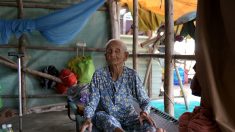 Au Vietnam, une centenaire se bat contre la course aux centrales à charbon