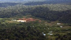 Guyane : l’exécutif rejette le projet Montagne d’Or, les opposants doutent