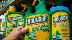 Monsanto aurait secrètement fiché des personnalités en fonction de leur position sur le glyphosate